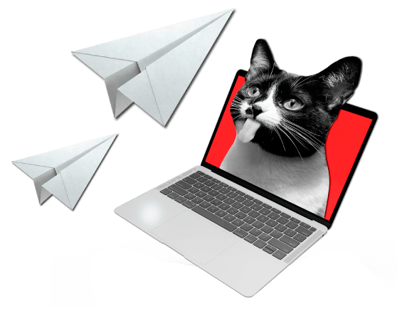 diseño de paginas web bogota